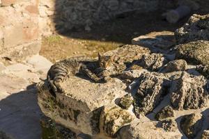 Ruins in Side photo