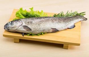 Raw fresh trout photo