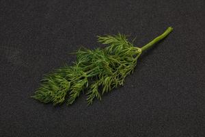 Aroma seasoning - Green Dill branch photo