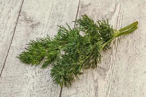 Aroma seasoning - Green Dill branch photo