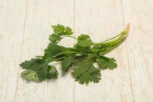 Fresh ripe  Green cilantro leaves photo