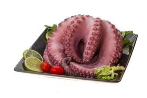 Large boiled octopus photo