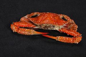 Boiled crab - ready for eat photo