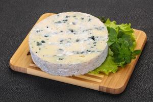 Round blue cheese photo