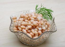 White canned beans photo