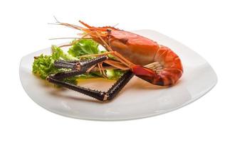 Giant Freshwater Prawn photo