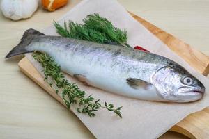 Raw trout on a board photo