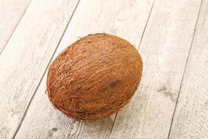 Tropical brown coconut over background photo