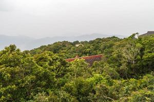 selva china, isla de hainan foto