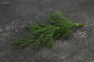 Fresh green dill herb branch photo