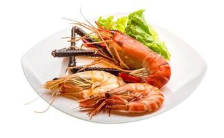 Giant Freshwater Prawn and king prawns photo