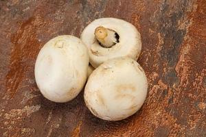 Raw Champignon heap for cooking photo