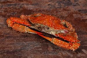 Boiled crab - ready for eat photo