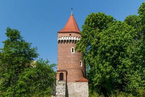 Royal castle in Wawel, Krakow photo