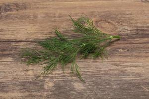 Fresh green dill herb branch photo