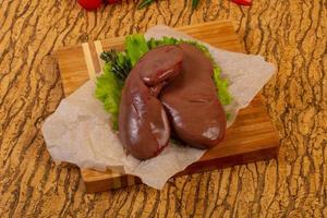 Raw pork kidneys photo