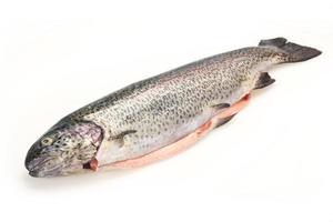 Raw trout fish isolated on white photo