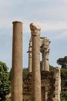 The Theater of Marcellus photo