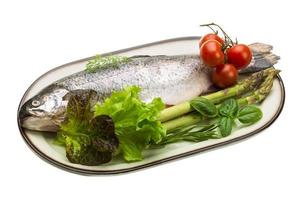 Fresh raw rainbow trout photo