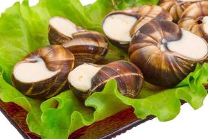 Escargot snails on a plate with lettuce photo