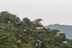 selva china, isla de hainan foto