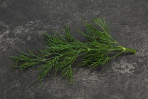 Fresh green dill herb branch photo