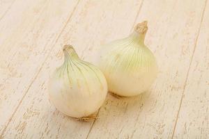 White ripe sweet onion vegetable photo