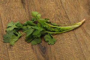 hojas frescas de cilantro verde maduro foto
