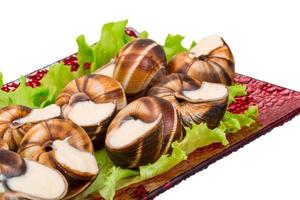 Escargot snails on a plate with lettuce photo