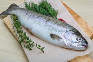 Raw trout on a board photo