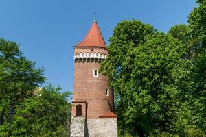 castillo real en wawel, cracovia foto