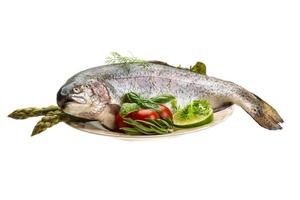 Fresh raw rainbow trout photo