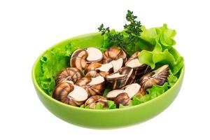 Escargot snails on a plate photo