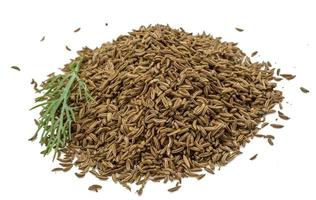 Caraway heap on white background photo