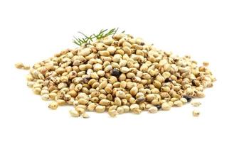 Soya bean on white background photo