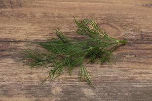 Fresh green dill herb branch photo