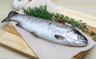 Raw trout on a board photo