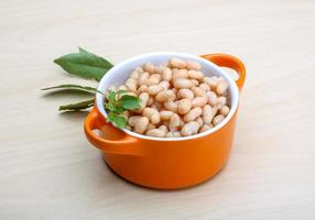 White canned beans photo