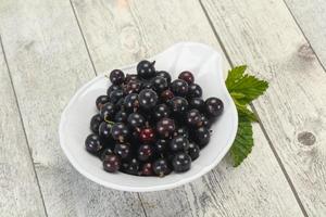 Fresh ripe sweet black currant photo