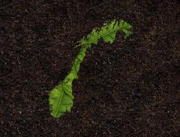 Norway map made of green leaves on soil background ecology concept photo