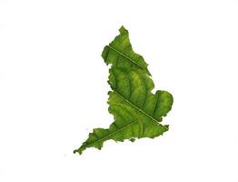 England map made of green leaves on soil background ecology concept photo