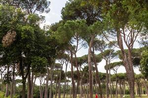 Villa Pamphili,Rome, Italy photo