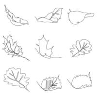 set of continuous one line illustration of autumn tree leaf vector