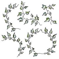 conjunto de arte de una línea de ramo botánico de hojas de uva en diseño mínimo vector