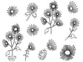 set of one line art of botanical flower in minimal design vector