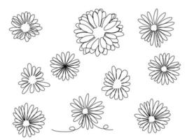 set of one line art of botanical flower in minimal design vector