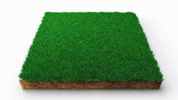 Square soil land geology cross section with green grass, earth mud cut away isolated 3D Illustration photo