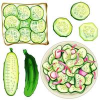 The set of hand drawn cucumber vector