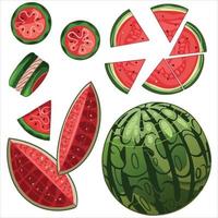 Set of hand drawn watermelons. Group, slice and macaroon vector