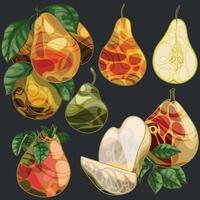 Set of hand drawn pears. Group and a slice vector